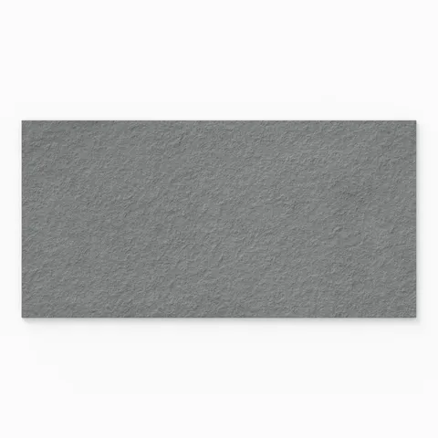 Palmer 24 x 48 Raw Porcelain Tile in Grey