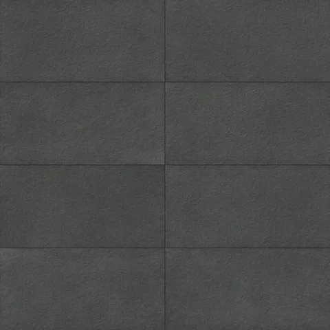 Palmer 24 x 48 Raw Porcelain Tile in Nero