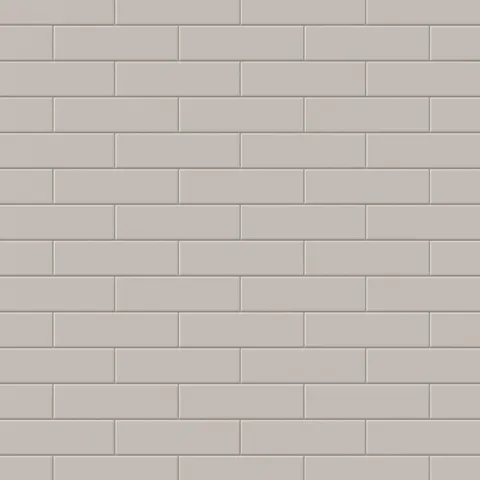 Polly 3 x 10 Glossy Ceramic Tile in Beige
