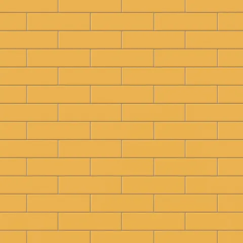 Polly 3 x 10 Glossy Ceramic Tile in Yellow