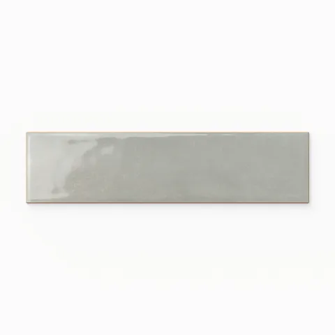Olivia 4 x 8 Glossy in Glacial Sample