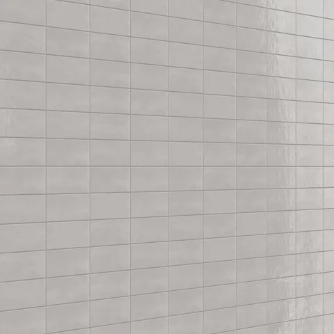Josie 3 x 6 Glossy Ceramic Tile in Tender Gray