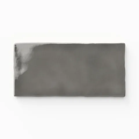 Mikayla 2.5 x 5 Glossy Ceramic Tile in Gris