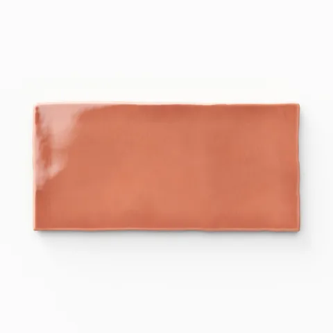 Mikayla 2.5 x 5 Glossy Ceramic Tile in Coral
