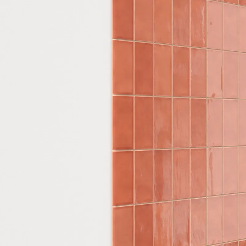 edwardmartin-11450-mikayla-coral-2_5x5-bullnose-gloss-0003.jpg