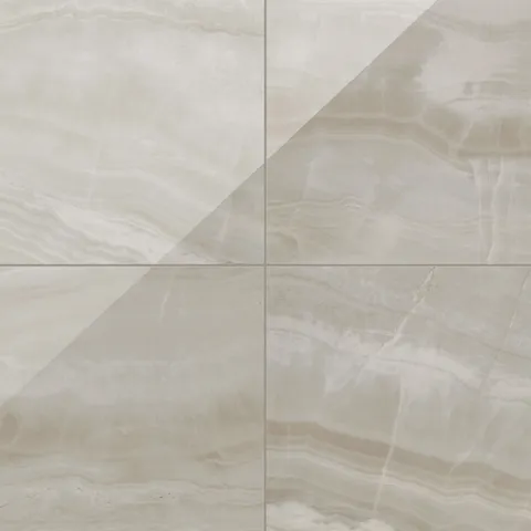 Giselle 24 x 24 Polished Porcelain Tile in Shell