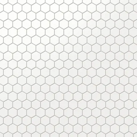 Levi 12 x 12 Matte Porcelain 2 x 2 Hexagon Mosaic Tile in White
