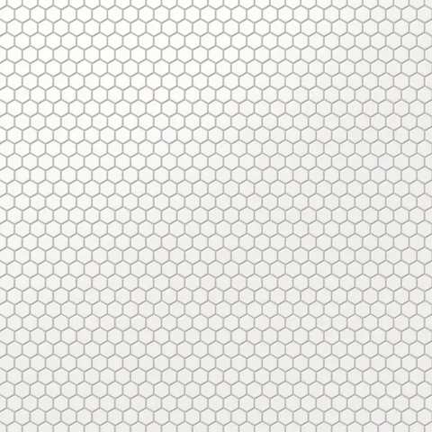 Levi 12 x 12 Matte Porcelain 1 x 1 Hexagon Mosaic Tile in White