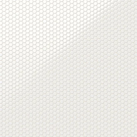 Ollie 12 x 12 Glossy Porcelain Penny Round Mosaic Tile in White