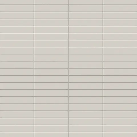Reagan 2 x 10 Glossy Ceramic Tile in Gris