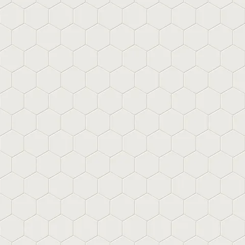 Reagan 5 x 6 Matte Porcelain Hexagon Tile in Blanco