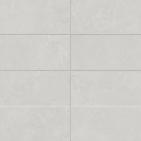 Annalise 12x24 Matte Porcelain Tile in Light Gray, highlighting subtle textures for an understated modern look.