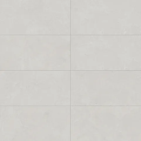 Annalise 24 x 48 Matte Porcelain Tile in Blanco