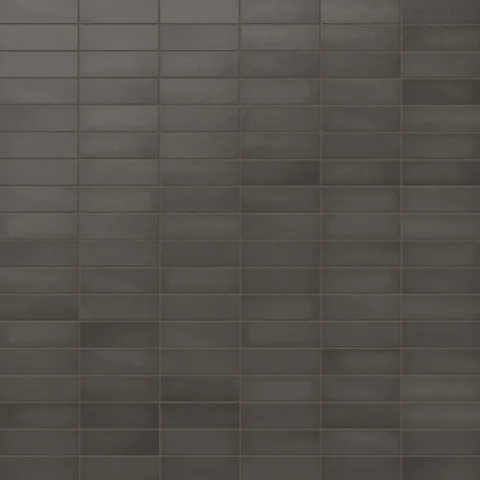 Ellie 2.5 x 8 Matte Ceramic Tile in Black Coal