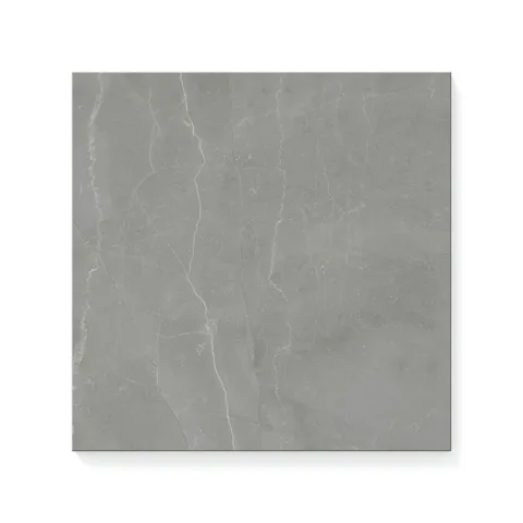 Leona 12 x 12 Polished Porcelain Tile in Amani Grey