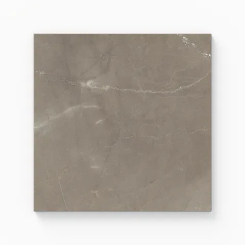 Leona 12 x 12 Polished Porcelain Tile in Amani Bronze
