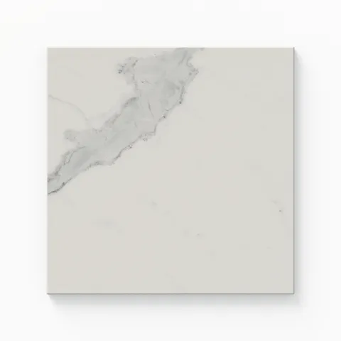 Leona 12 x 12 Polished Porcelain Tile in Calacatta