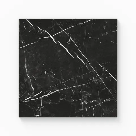 Leona 12 x 12 Polished Porcelain Tile in Nero Marquina