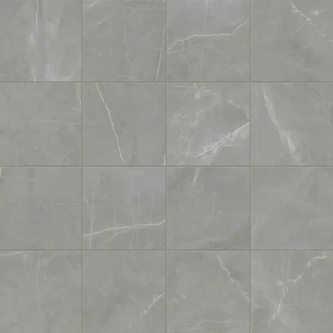 Leona 12 x 12 Matte Porcelain Tile in Amani Grey