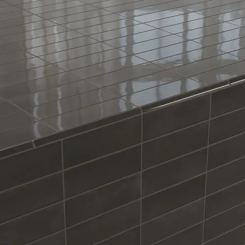Natasha 0.5 x 8 Jolly Matte Ceramic Tile Trim in Coal