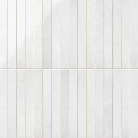 Mariel 2 x 12 Glossy Porcelain Subway Tile in White
