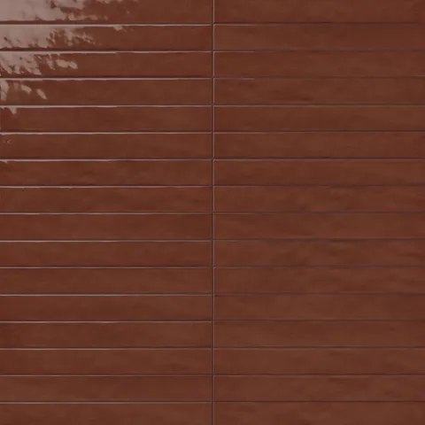 Remi 2 x 17 Glossy Ceramic Tile in Rust