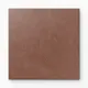 Burnt Umber