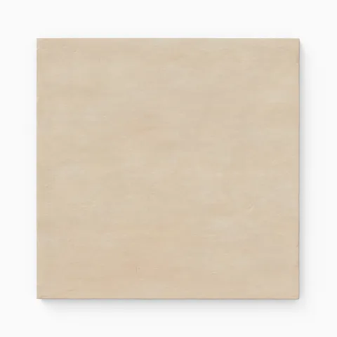 Kai 12 x 12 Matte Porcelain Tile in Almond