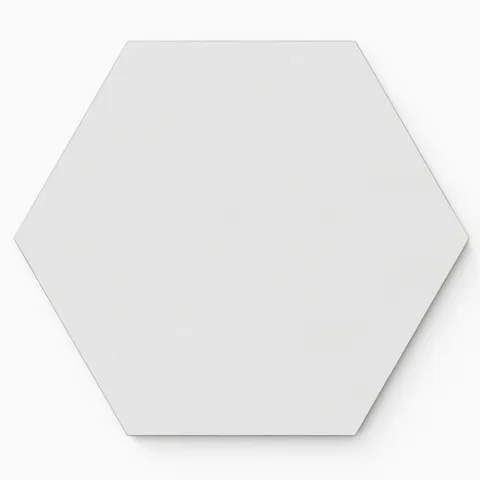 Kai 10 x 10 Matte Porcelain Hexagon Tile in Whisper