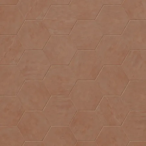 Kai 10 x 10 Matte Porcelain Hexagon Tile in Terracotta