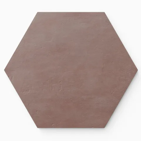 Kai 10 x 10 Matte Porcelain Hexagon Tile in Marron
