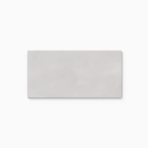 Elliot 12 x 24 Matte Porcelain Tile in Ash