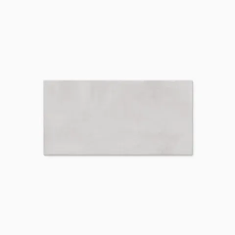Elliot 24 x 48 Matte Porcelain Tile in Ash