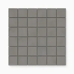 Coal