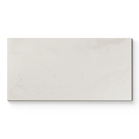 Marco 12 x 24 Matte Porcelain Tile in Mist