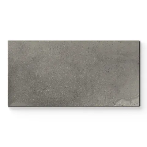 Marco 12 x 24 Matte Porcelain Tile in Twilight
