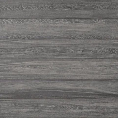 Alden 8 x 48 Matte Porcelain Tile in Charcoal