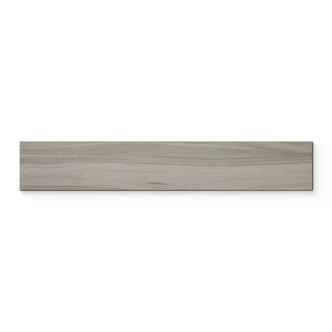 Alden 8 x 48 Matte Porcelain Tile in Gray