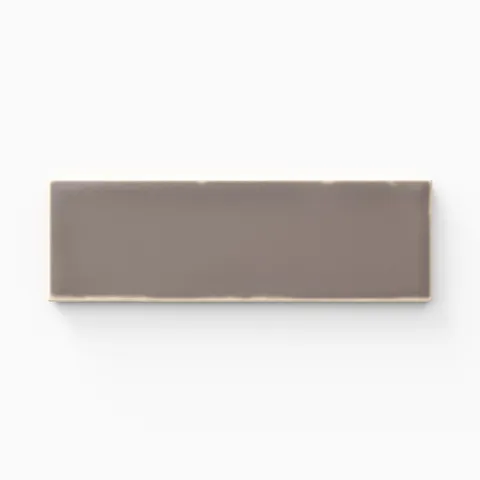 Dani 1.6 x 5 Matte Ceramic Tile in Fossil