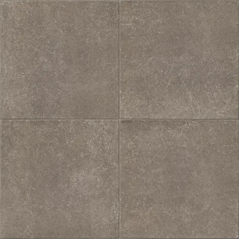 Dylan 17 x 17 Matte Porcelain Tile in Grigio
