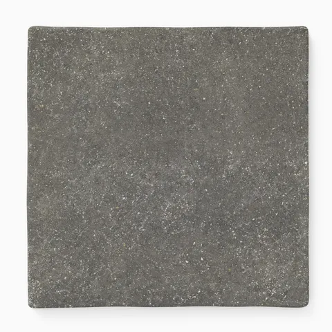 Dylan 17 x 17 Matte Porcelain Tile in Nero