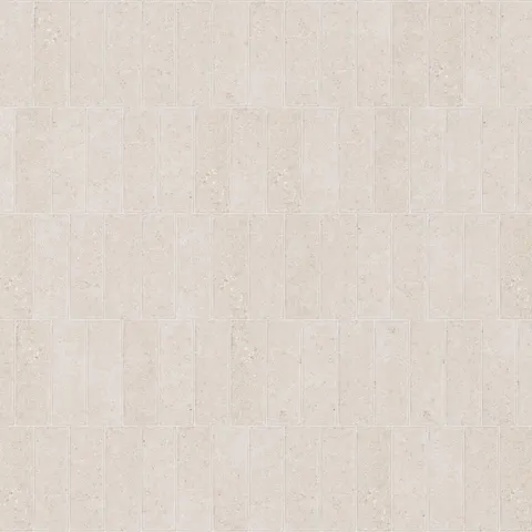 Dylan 2 x 6 Matte Porcelain Tile in Bianco