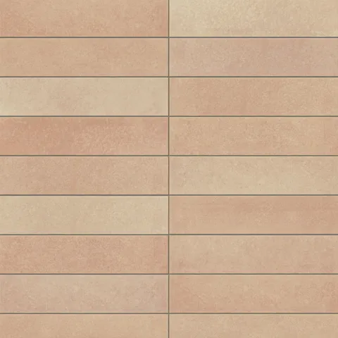 Aurelia 2.5 x 11 Matte Porcelain Subway Tile in Tierra