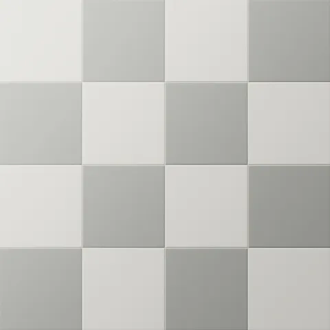 Merrick 8 x 8 Checkerboard Matte Porcelain Tile in Ambient White and Gothic Grey