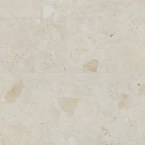 Cassia 24 x 48 Matte Porcelain Tile in Mandorla