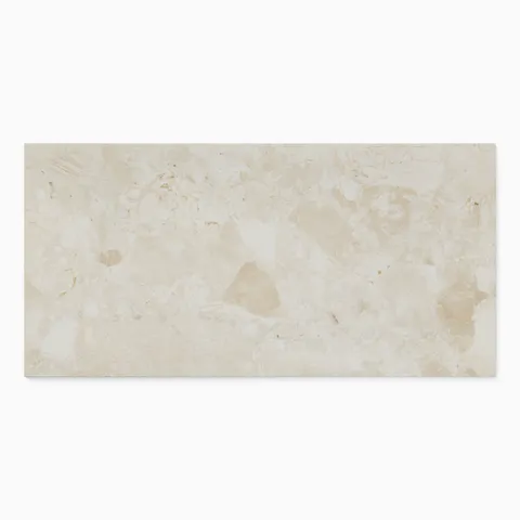 Cassia 24 x 48 Matte Porcelain Tile in Mandorla