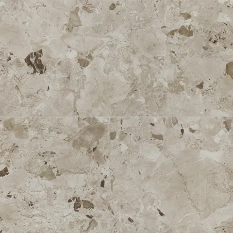 Cassia 24 x 48 Matte Porcelain Tile in Mocaccino