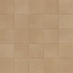 Terra