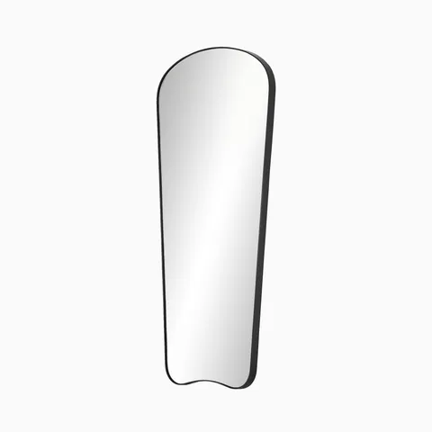 Raelynn Wall Mirror in Iron Matte Black