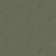 Olive Night II